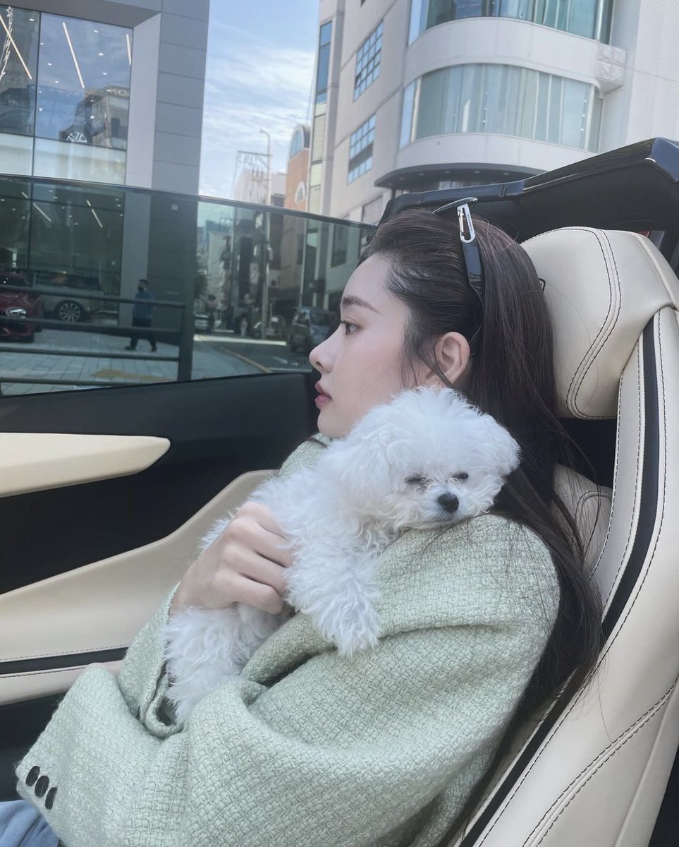 Tiffanychan045's tweet photo. 今年の秋こそは、こう仕��がりたかった。 https://t.co/l5MDSvLNUQ