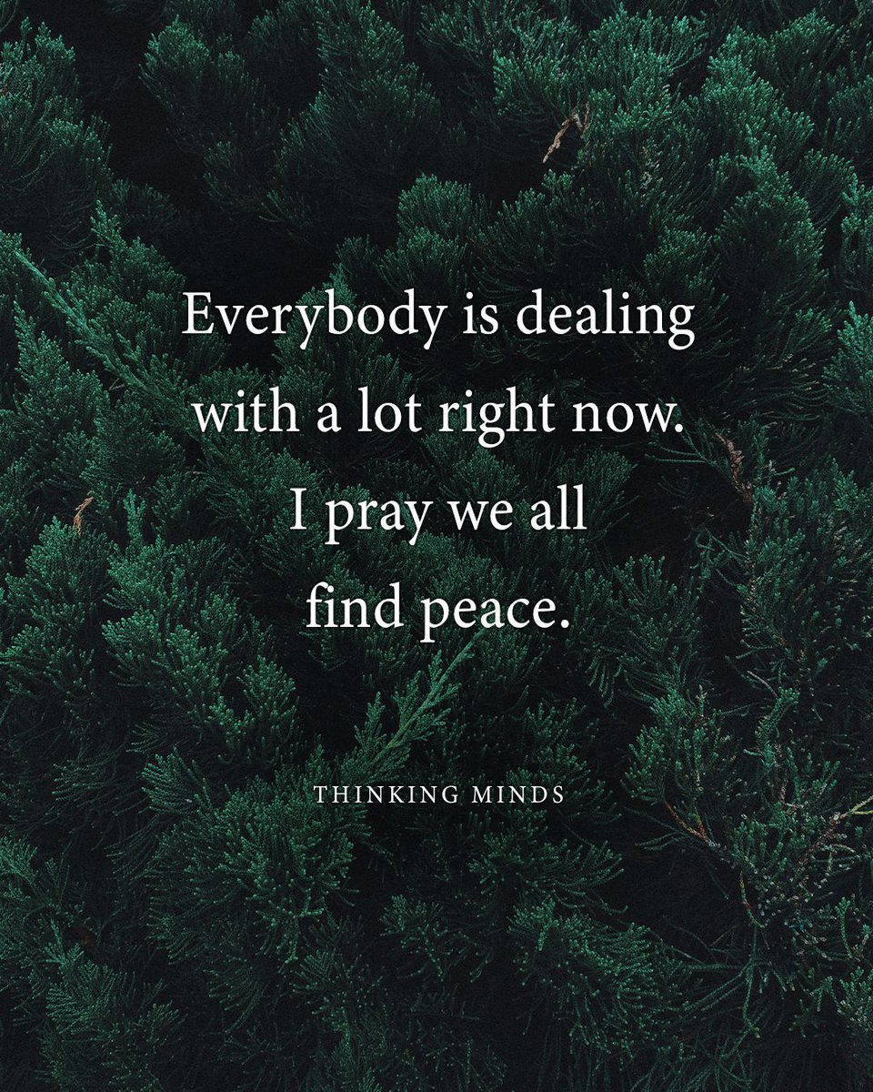 Thinking Minds tweet media