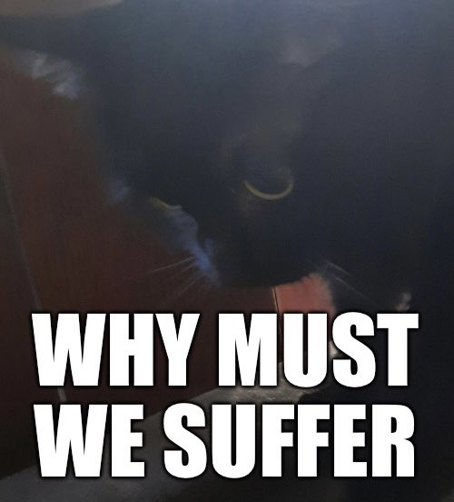 𝙂𝙪𝙞𝙡𝙖 (@fatherguldeme) on Twitter photo 