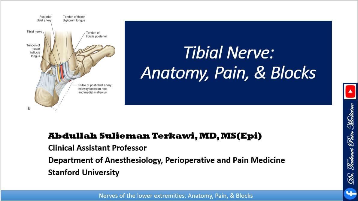 asterkawi's tweet photo. Just published: Tibial Nerve: Anatomy, Pain, and Block.
https://t.co/8SQUvuTKq8
Enjoy!
#regionalanesthesia #nerveblock #crps #neuralgia #TibialNerve #HyperactiveBladder #blocktober23 https://t.co/BmC2OIydf2