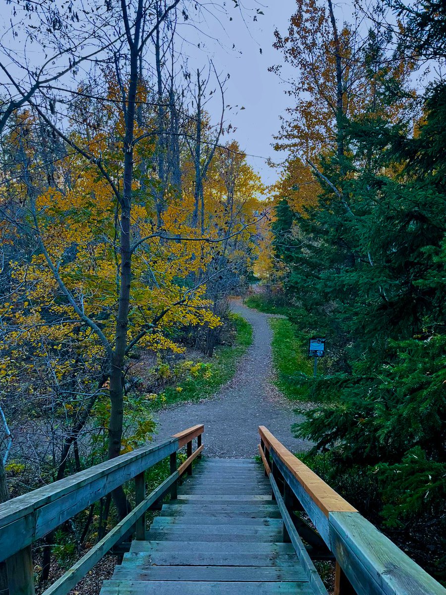 Remarkgeorge's tweet photo. Wandered into the river valley to watch the sunset and just missed it. Still had decent light to capture fall photos as I wandered, so...

Got lots of work to do, and here I am taking pictures.

I'm Fall-photo-crastinating. https://t.co/03TgDjxC4A