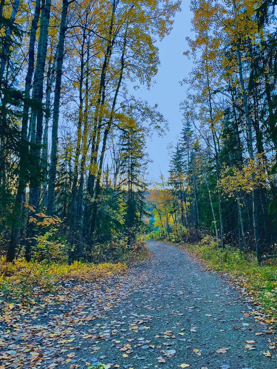 Remarkgeorge's tweet photo. Wandered into the river valley to watch the sunset and just missed it. Still had decent light to capture fall photos as I wandered, so...

Got lots of work to do, and here I am taking pictures.

I'm Fall-photo-crastinating. https://t.co/03TgDjxC4A