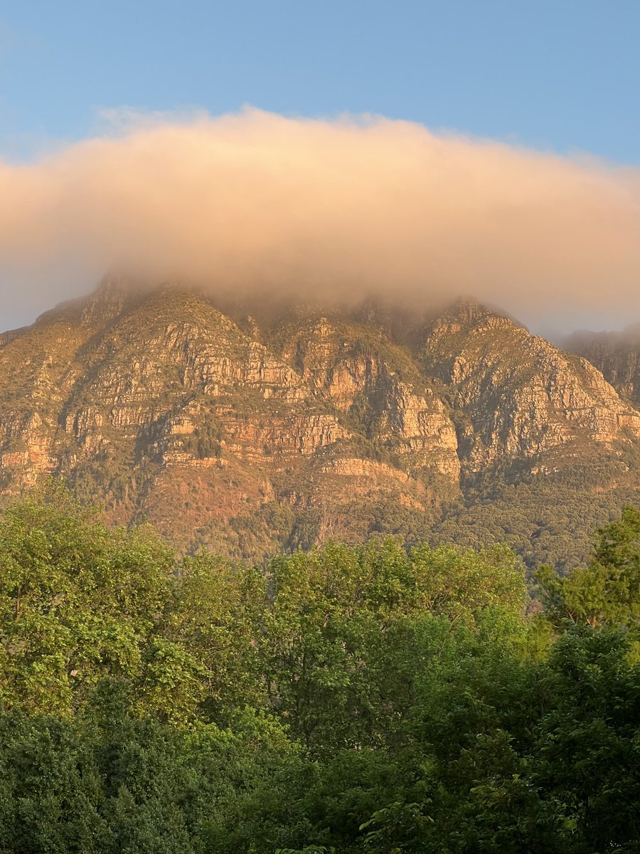JudeStevens's tweet image. Good morning tweeps from the tip of Africa - tablecloth and all 😊 #firstlight #nature
