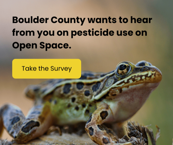 SierraClubIPG's tweet photo. There is only one opportunity for in-person comment ( 10/11) and only between now and  10/18th to provide comment via the county’s survey. We are part of a coalition that are collectively asking @bouldercounty and @BoulderCountyOS not to spray pesticides. https://t.co/BRnvkB0nBk https://t.co/ai1XXhB3iC