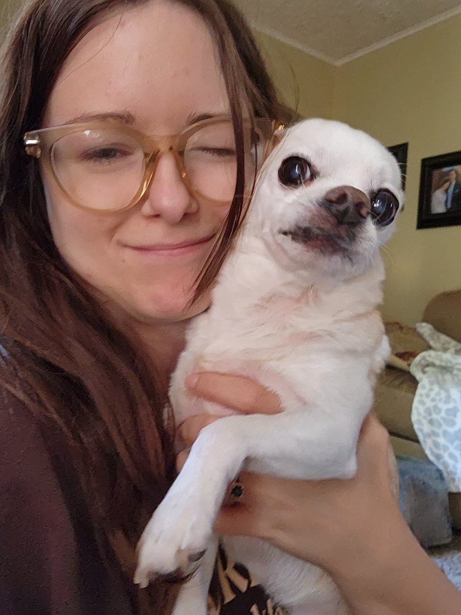 boredpanda17's tweet photo. My 14 year old family pup still doing zoomies when I walk in the door will always be a top tier dopamine booster https://t.co/qNzGieV2Az