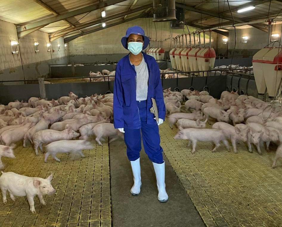 Agriculture and Young tweet media