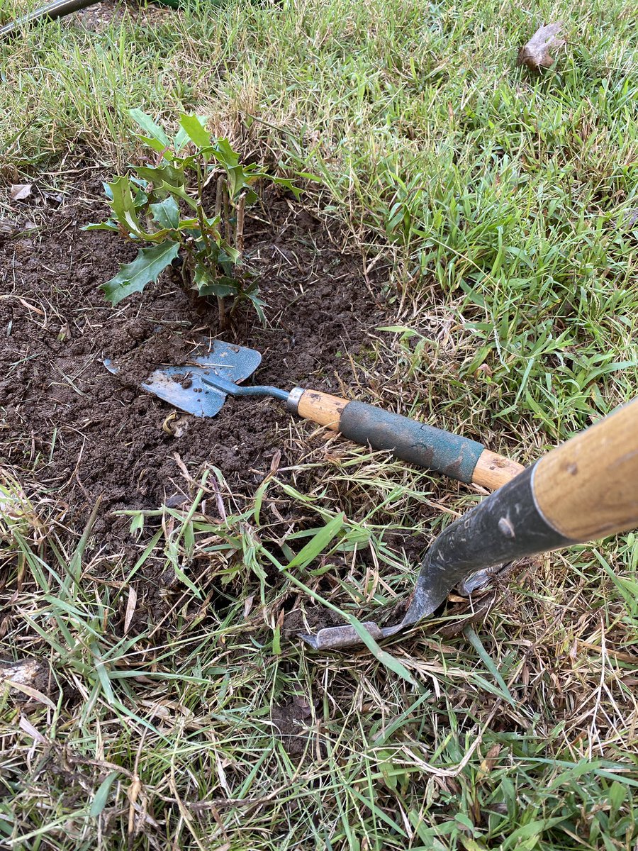 jrmcbethauthor's tweet photo. Like in the garden on Saturday, it’s time to weed &amp; add fertilizer around my new “plant” to fortify it. For example, why is father-in-law Norm so dismissive toward Tallie?

Destiny Attacks Series: Doubting Destiny

#writingcommunity
#readercommunity https://t.co/gUr3KrXKKI