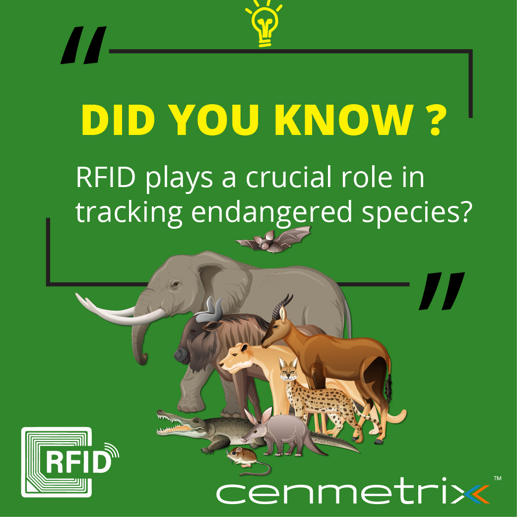 Cenmetrix's tweet image. Did you know that #RFID plays a crucial role in tracking endangered species? 🐢🐋🐘🦏
Researchers use #RFIDTags to collect valuable data about animal movements, behavior and health which can be used to improve the management of wildlife population &amp;amp; protect endangered species.