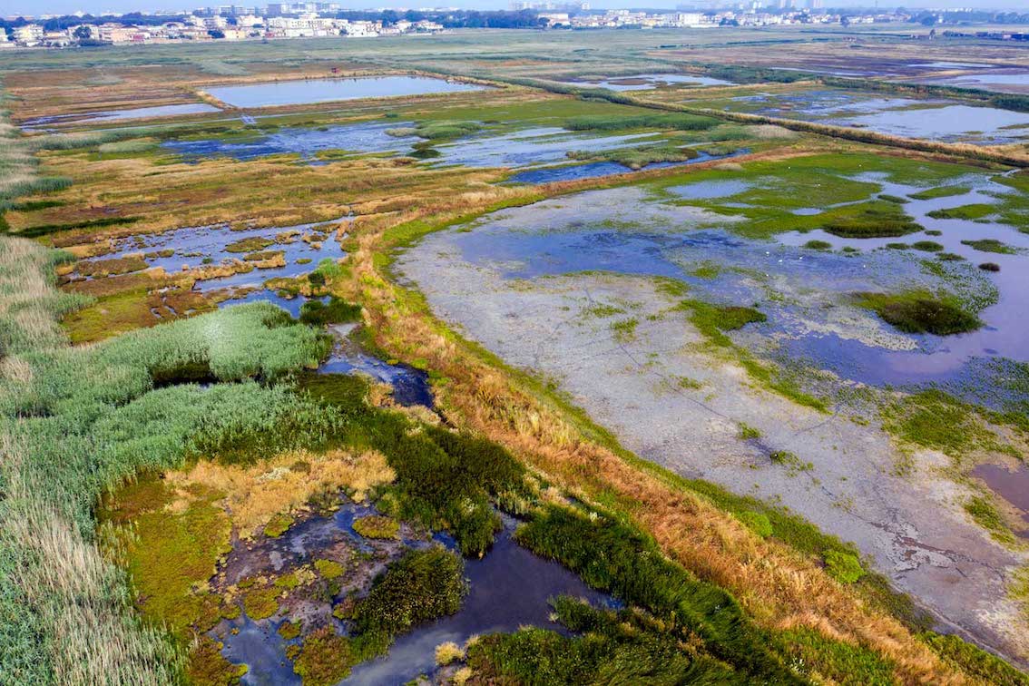 TurismoItaliaNw's tweet image. CAMPANIA | Ecoitinerario Agro-Domitio: a Villa Literno hiking alla riscoperta dell&apos;oasi delle Soglitelle e del litorale 
Leggi la notizia shorturl.at/cJORV

#campaniadavivere #villaliterno #hiking #ecoitinerario #ecoitinerarioagrodomitio #agrodomitio #turismo