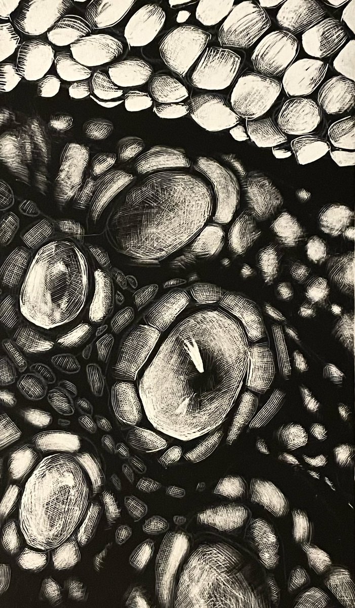 Kathryn Busby tweet media