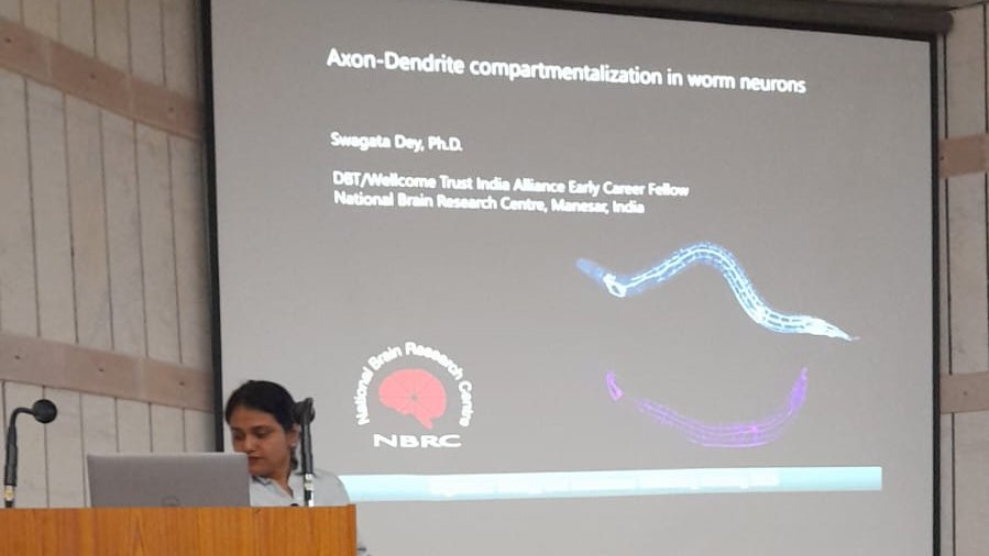 Sandhya Koushika tweet media