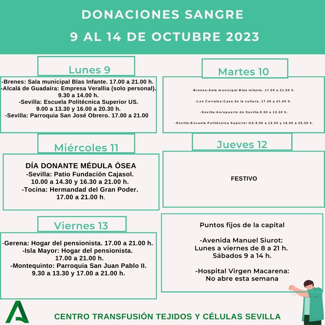 CTS Sevilla tweet media