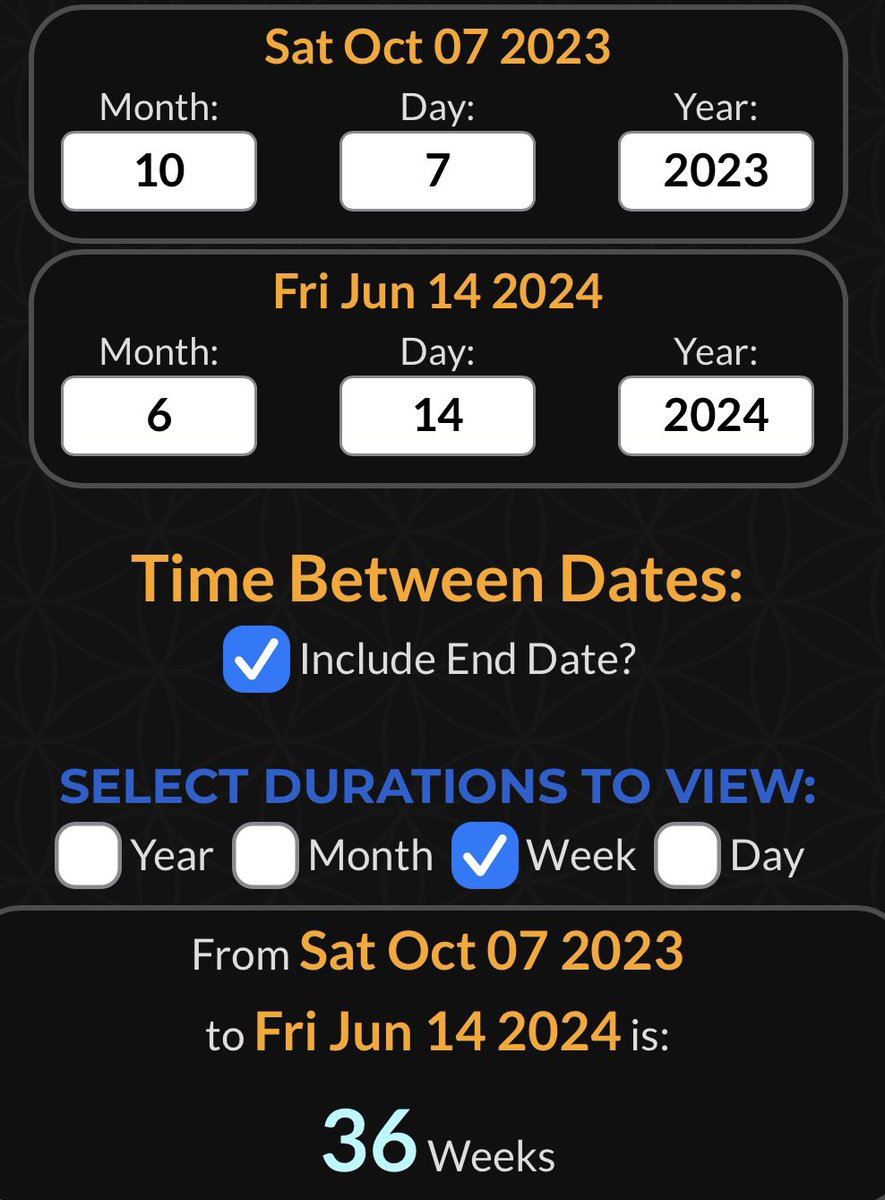 The Illusion tweet media