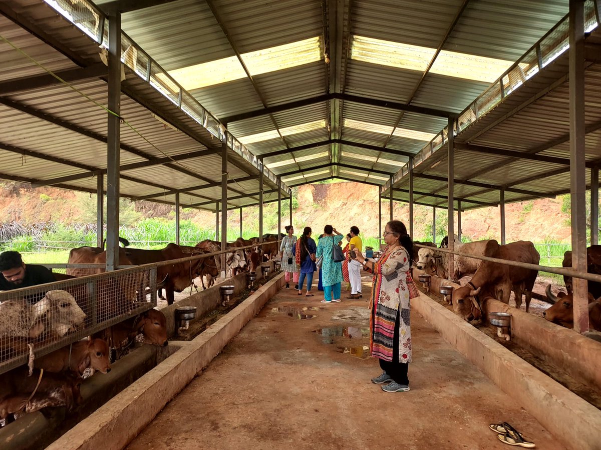 With desi Gir cows, the farm emphasizes the value of A2 milk, an elixir.

It's not just a farm but an educational hub - inviting young minds to dive into the world of agriculture, eco-conscious and sustainable living.
<a href="/sawanishetye/">sawani shetye</a>
