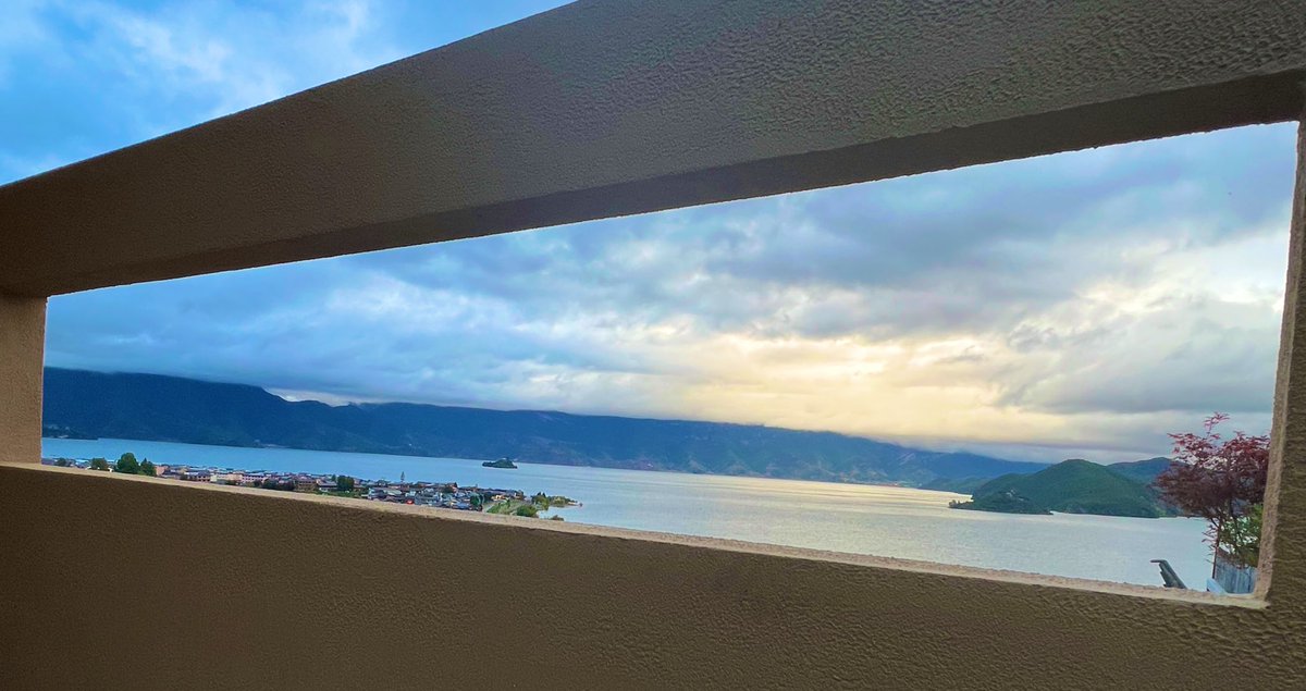 Howqi喵酱～ tweet media