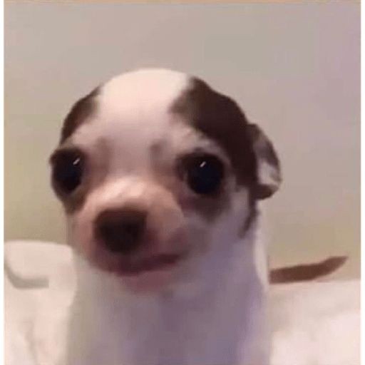 eli_rxm01's tweet photo. AUXILIOOOO
Creo que algo me dio alergia, tengo ronchas por todo el cuerpo y la comezón no me deja dormir😭😭 https://t.co/l2SpfdpPRz