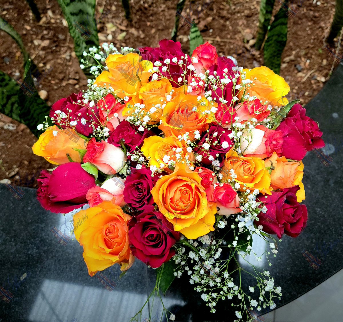 <a href="/_MakdShelby/">ᗩl wᗩdᑌd_tᕼe sIᗰᑭ</a> Just in case they are wondering where to get them...

Available from 25$

📱077 465 6436