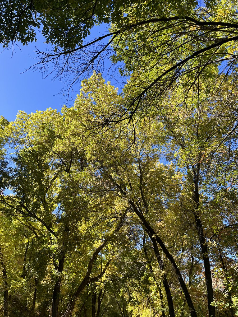 existentialrobo's tweet image. More casual stuff