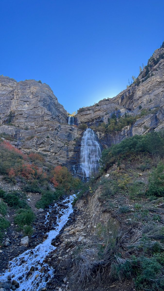 existentialrobo's tweet image. More casual stuff