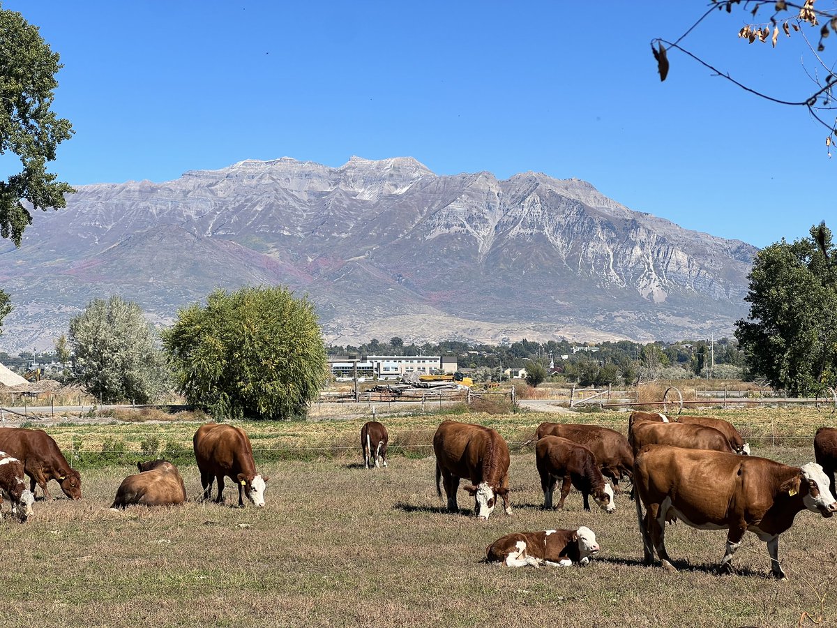 existentialrobo's tweet image. More casual stuff