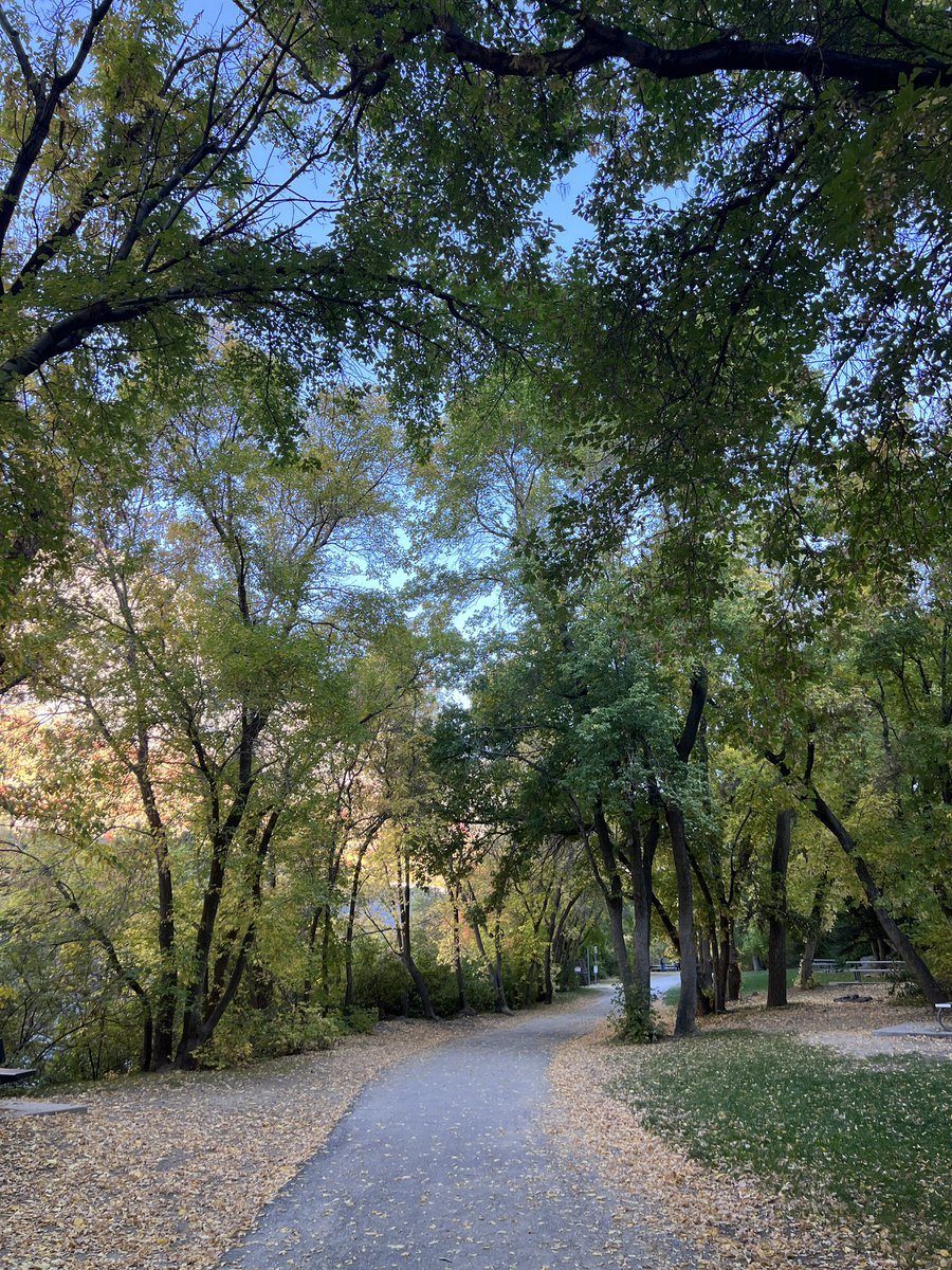 existentialrobo's tweet image. More casual stuff