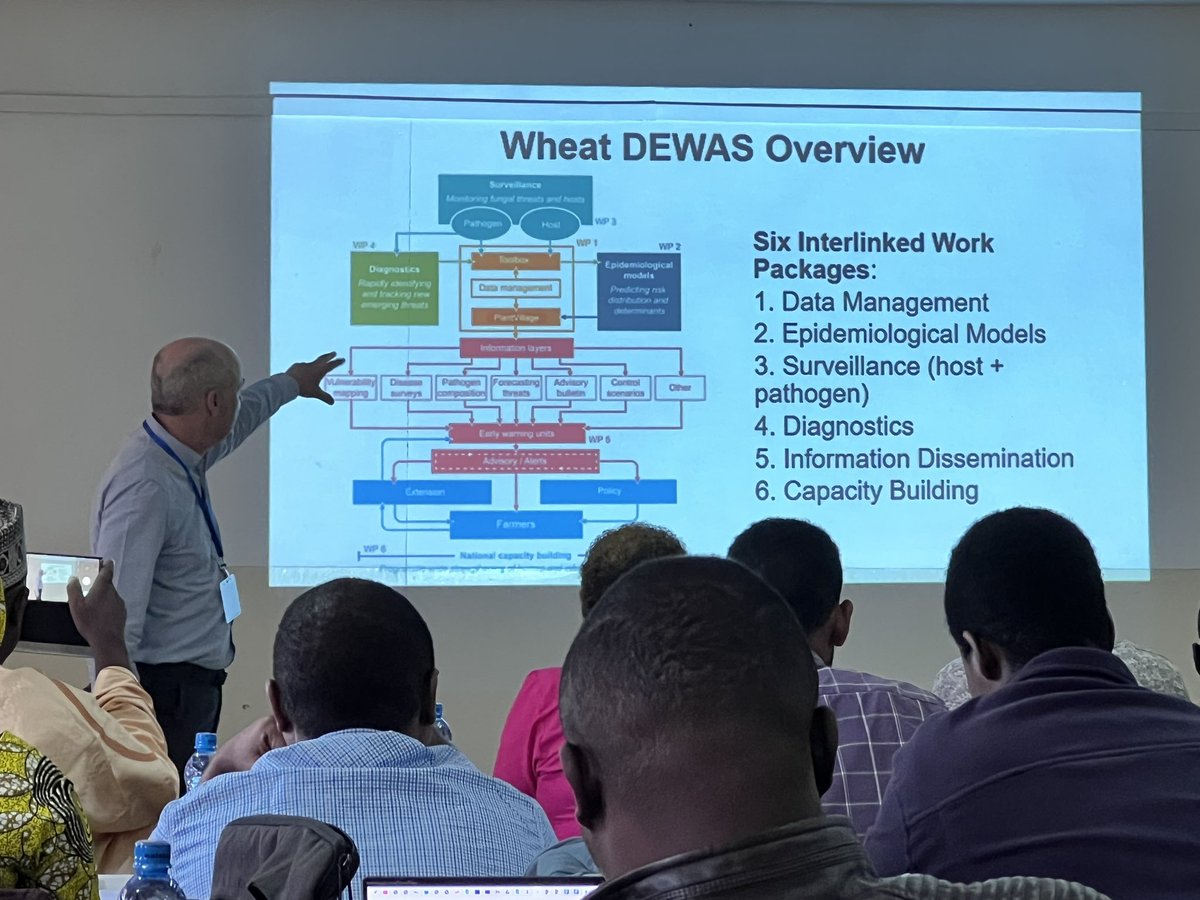 Starting strong the 2nd week of training at Njoro, Kenya! D. Hodson discuss the current status of FHB in East Africa and the role of the Wheat Disease and Early Warning Advisory System (#DEWAS) in preventing and managing wheat disease development &amp; epidemics. <a href="/globalrust/">Borlaug Global Rust Initiative</a> <a href="/CIMMYT/">CIMMYT</a>