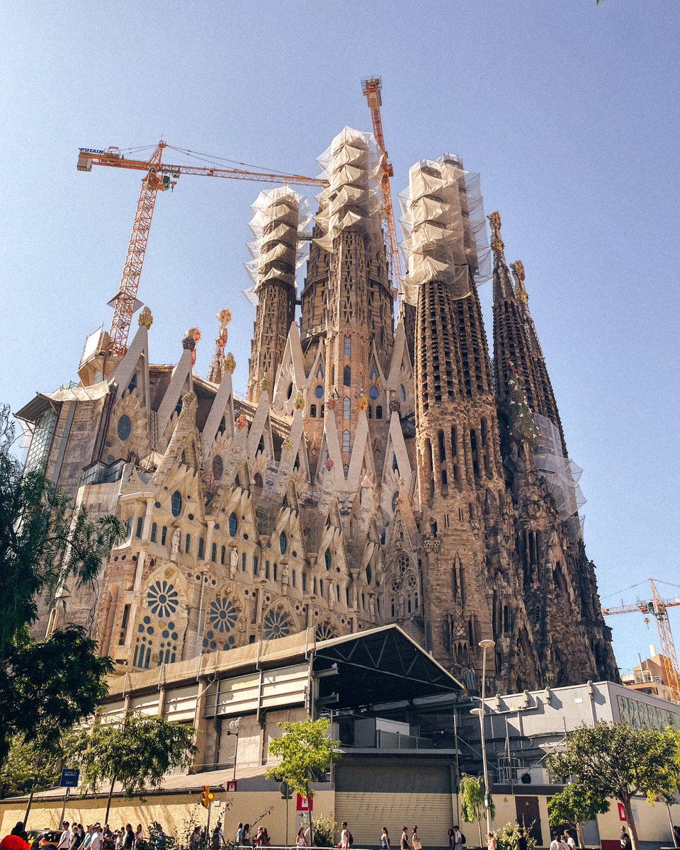 Curtis Lee tweet media