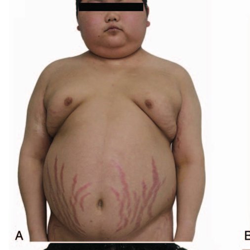 Dr Ihab Suliman tweet media