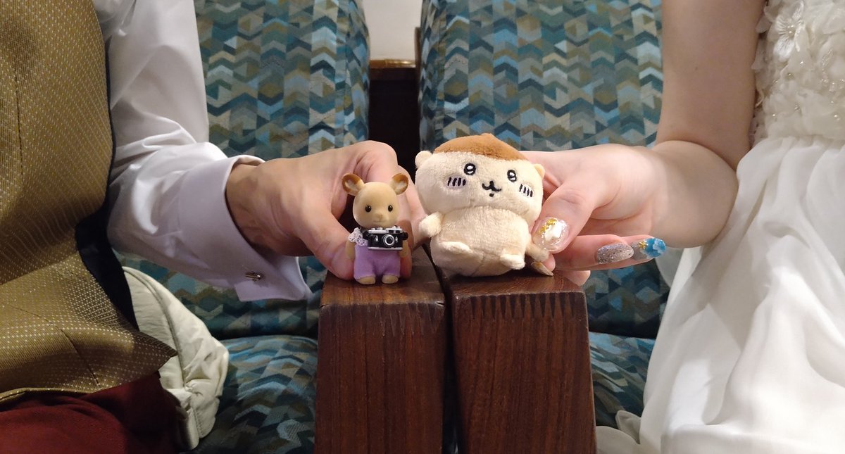akevanian's tweet photo. お友達の結婚式のために初ハワイでした🌴
時間なくてお洋服も準備できなかったけど、お友達(栗まんじゅうちゃん)ができました〜！！！ https://t.co/ZXWIM72As2