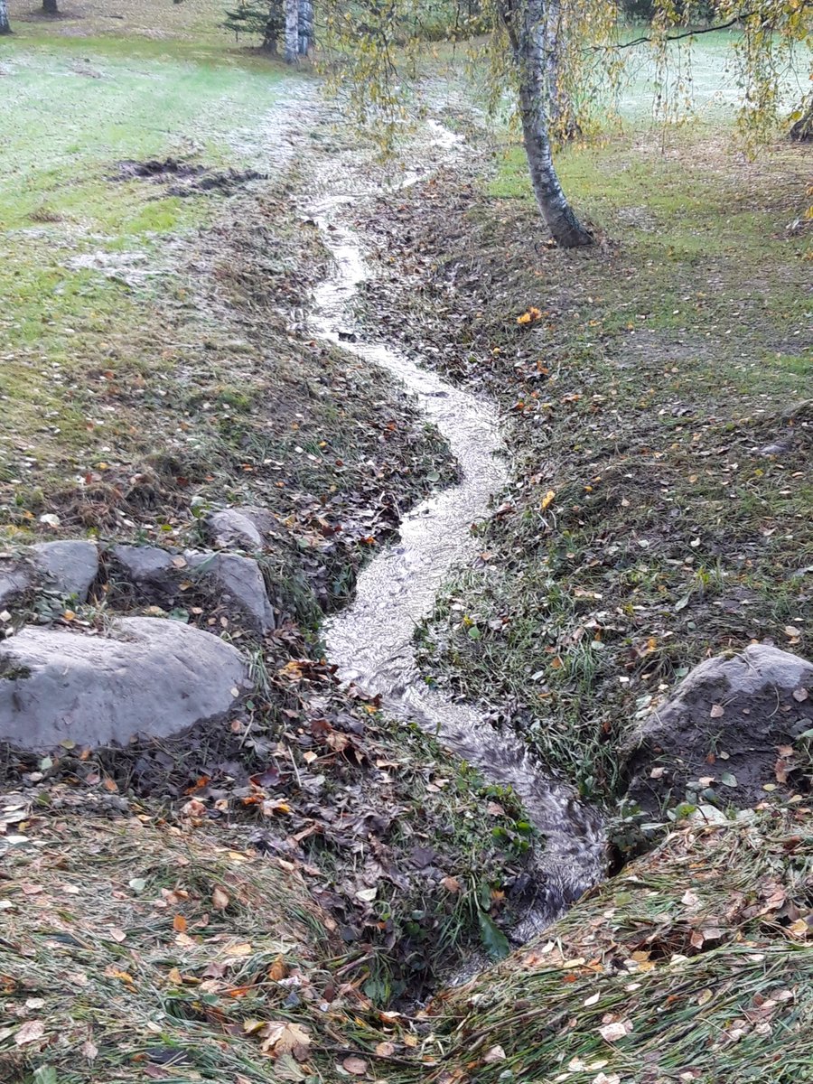 Ivana Kholová tweet media