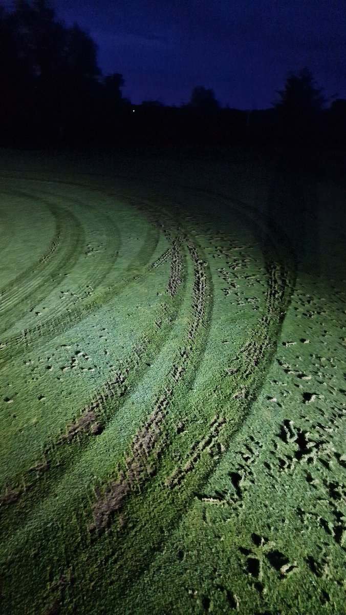 Gareth Tibbetts tweet media