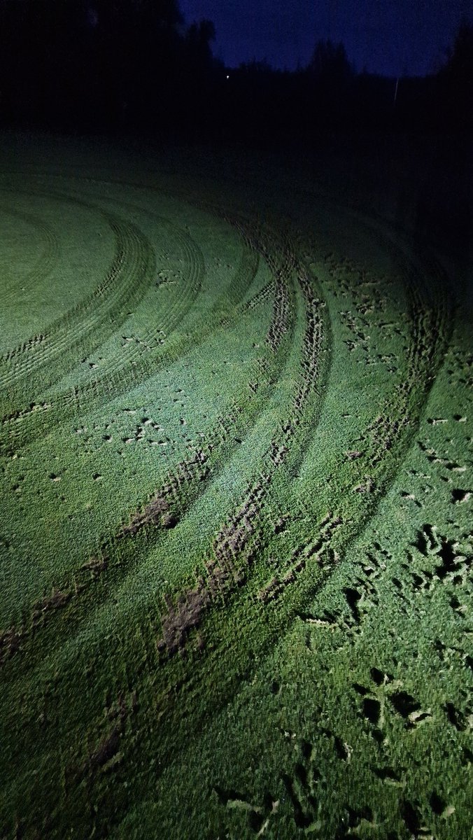 Gareth Tibbetts tweet media