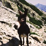 Photo by Tripadvisor France (@TripAdvisorFR)