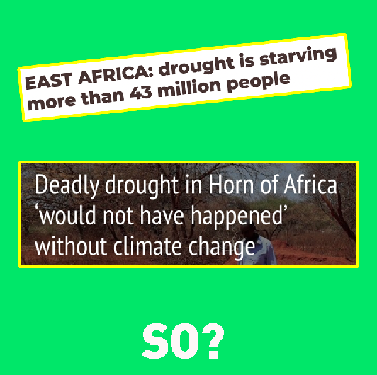 Greenpeace Africa tweet media