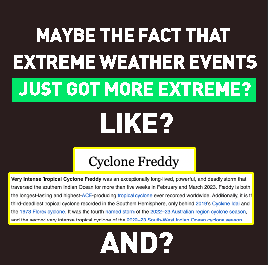 Greenpeace Africa tweet media