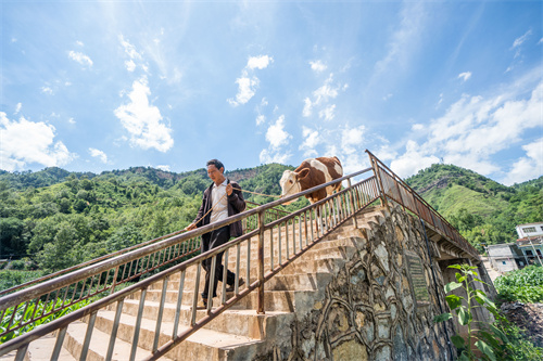 DiscoverGuizhou's tweet image. In old days, in Chuzhuo, #Bijie, villagers carried children on their backs across the river during floods for school. In 2018, with support from #UFWD, Jinhui Bridge was built, solving safety concerns and boosting local industries. A heartwarming tale of the community! 🌉💪