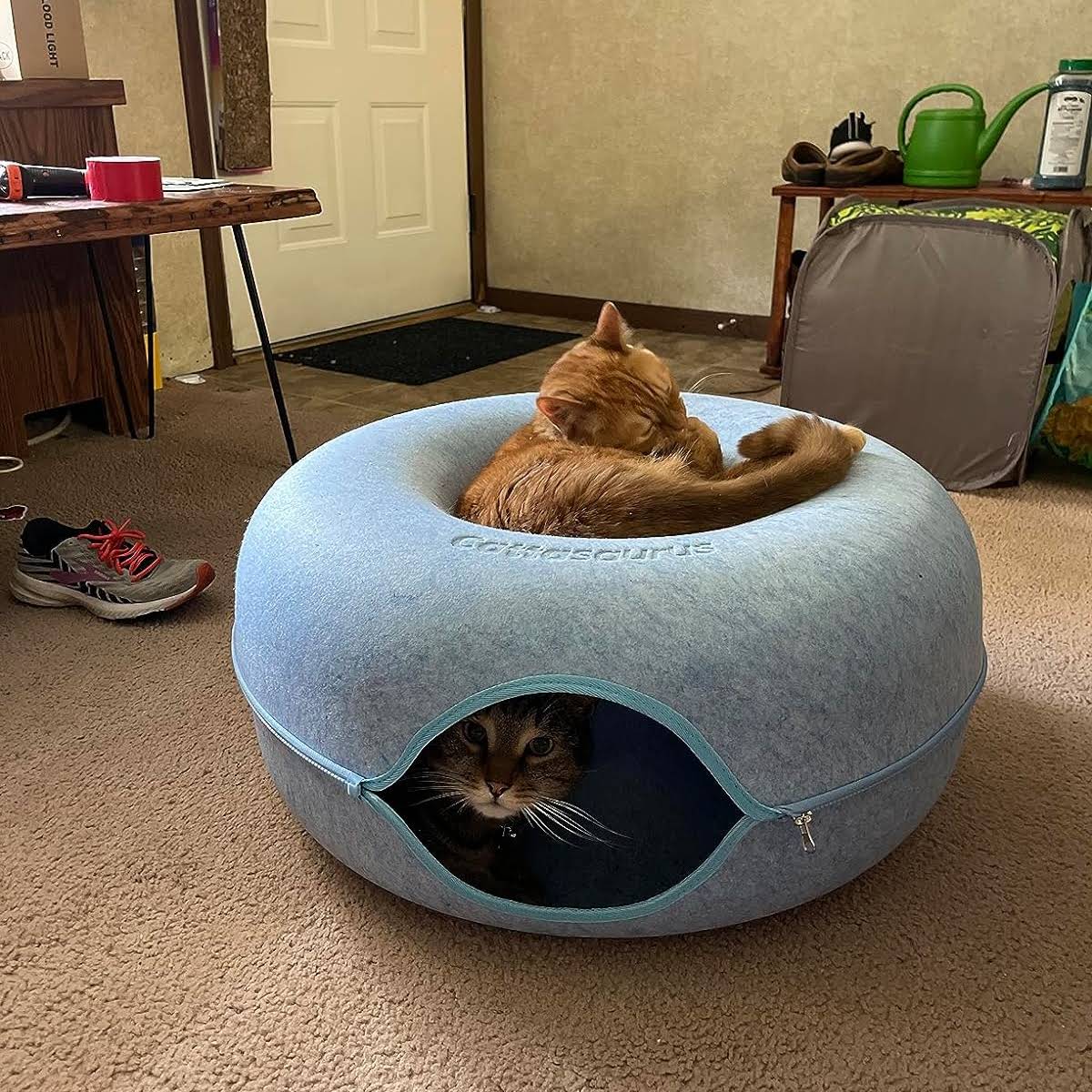 cattasaurus's tweet image. Bought this for my daughters cats. They absolutely love it. We’ll made and fast delivery. Highly recommend!

#Cattasaurus #Peekaboo #cat #Cave #Peekaboocatcave #cattasauruspeekaboocatcave #dontucatbed #cattunnel