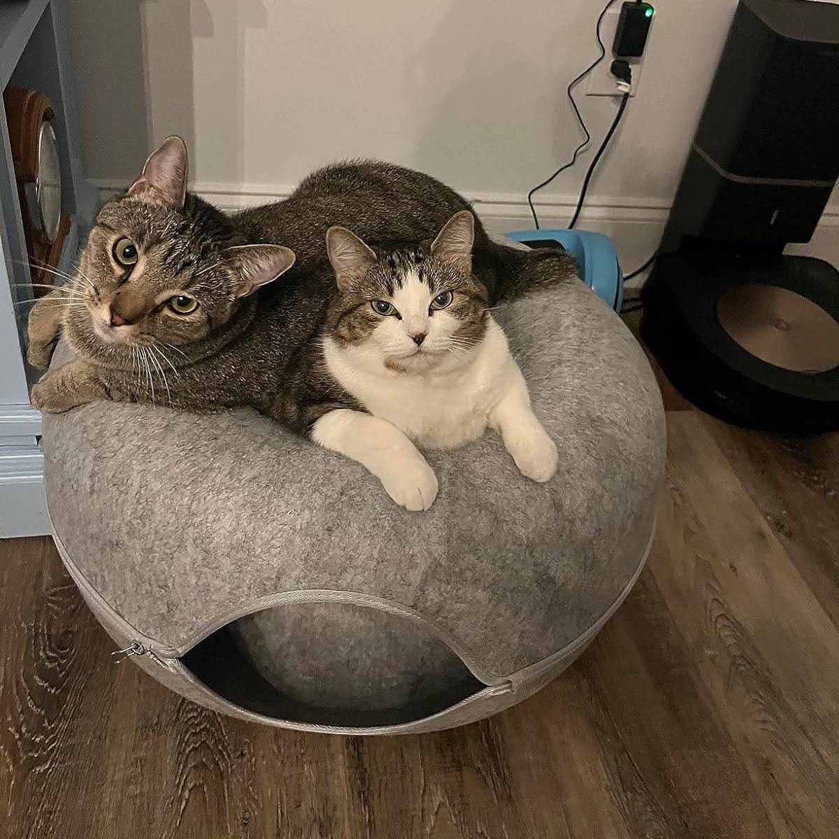 cattasaurus's tweet image. My cats love it. Put some of their toys inside and they love chairing them around inside, hiding out, or cuddling on top!

#Cattasaurus
#Peekaboocatcave
#CatCave
#CatBed
#CatCaveBed
#Cattunnelbed
#CatDonut