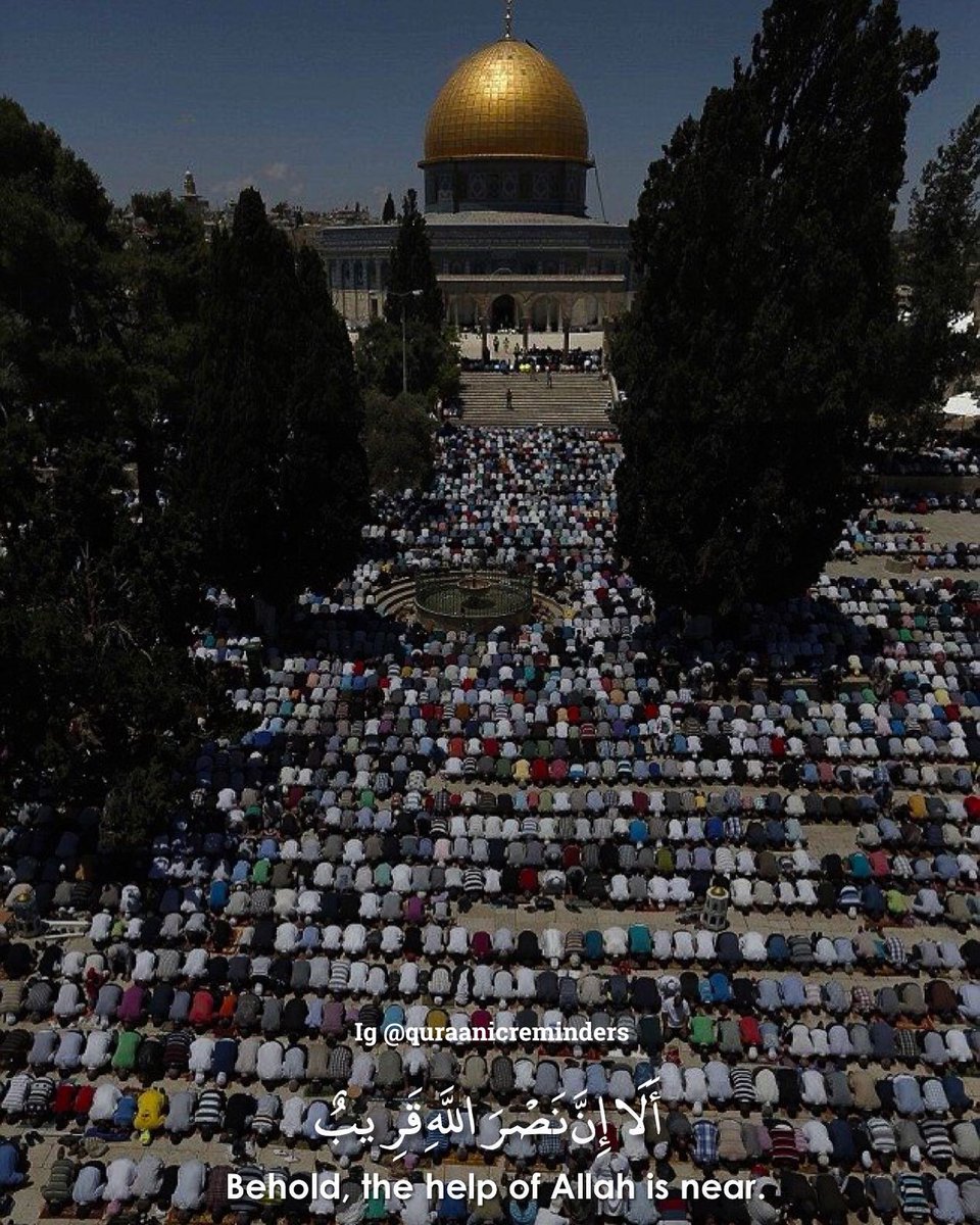 Callmewahid02's tweet photo. Powerful! Ya Allah madad farma. #Palestine 🇵🇸♥️ https://t.co/9UobcpCOLi
