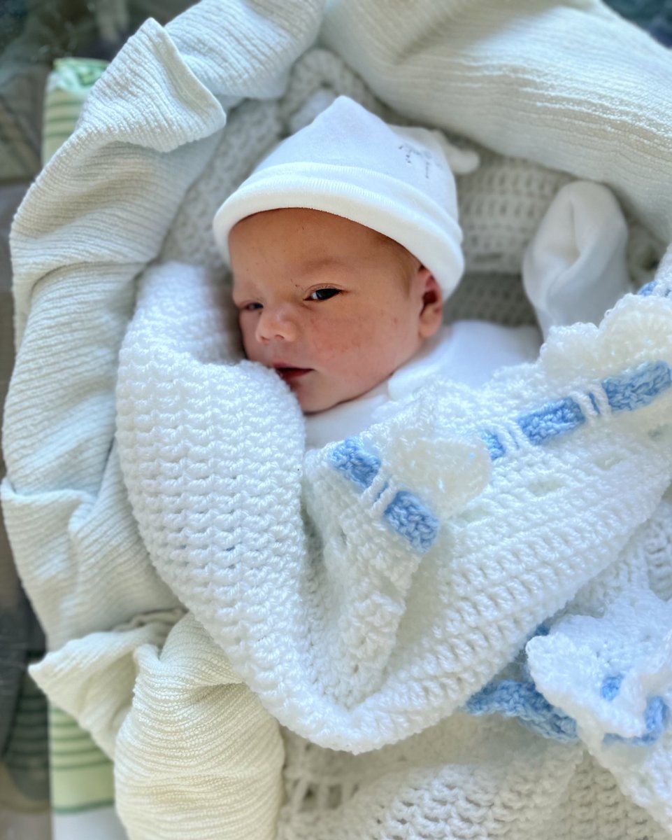 Scott Mitchell-Malm tweet media