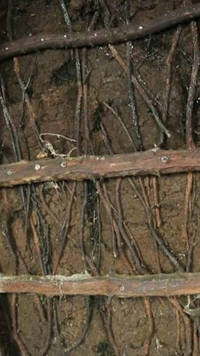 thatchertaggart's tweet image. The 1st Pic which is a screen grab of your post, shows an authentic #Scraw with NO pointy ends of the Scallops coming through, the other pics show recently constructed roofs by those, who may be wilfully ignorant, are forcing the #Scollops through the Scraw, this is Wrong.