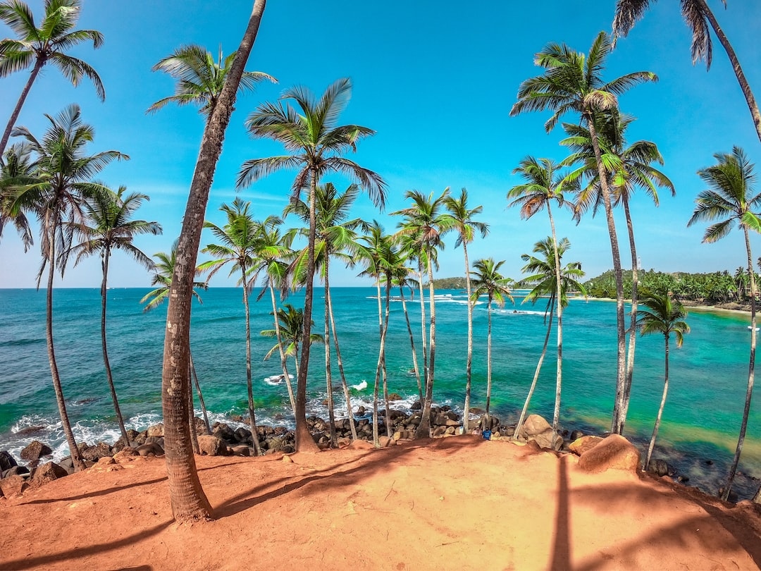 JourneyScapes Travels (@journeyscapessl) on Twitter photo Visit Sri Lanka π±π°
Explore this magical land with Journeyscapes Travel
π : srilankaauthenticholidays.com
π§ : journeys@sltnet.lk
βοΈ : +94 112 732 903
#srilanka #visitsrilanka #srilankatravel #travelsrilanka #srilankatourism Visit Sri Lanka π±π°
Explore this magical land with Journeyscapes Travel
π : srilankaauthenticholidays.com
π§ : journeys@sltnet.lk
βοΈ : +94 112 732 903
#srilanka #visitsrilanka #srilankatravel #travelsrilanka #srilankatourism
