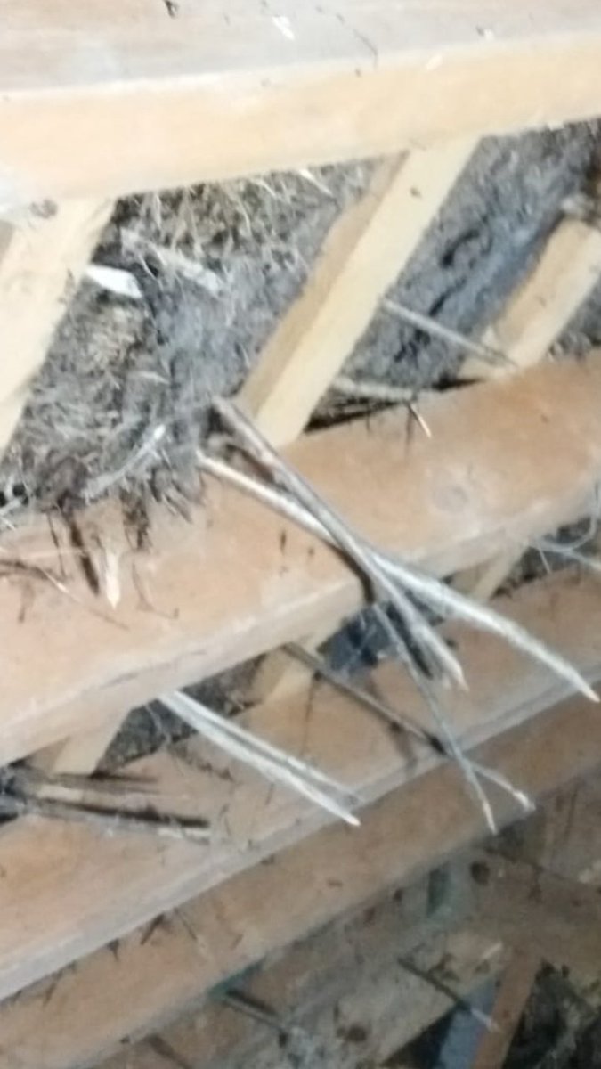 thatchertaggart's tweet image. The 1st Pic which is a screen grab of your post, shows an authentic #Scraw with NO pointy ends of the Scallops coming through, the other pics show recently constructed roofs by those, who may be wilfully ignorant, are forcing the #Scollops through the Scraw, this is Wrong.