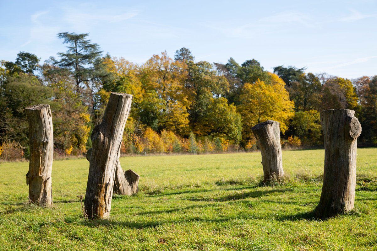 Have you been making the most of the Indian summer that we're experiencing? ☀️ Nowton Park is definitely one of our favourite spots to enjoy the sunshine! #BuryStEdmundsAndBeyond