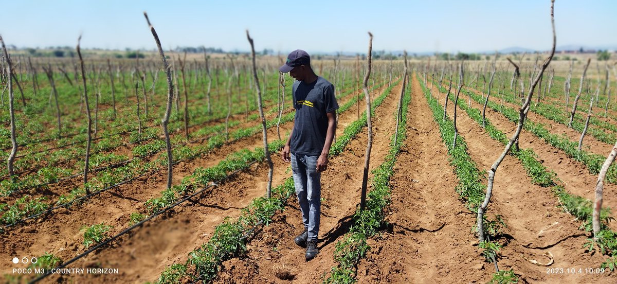 We have a term called Market Forces. It is basically all factors that influence the value or availability of a product. The forces are often subtle and invisible, nonetheless they are always present and potent in our lives.