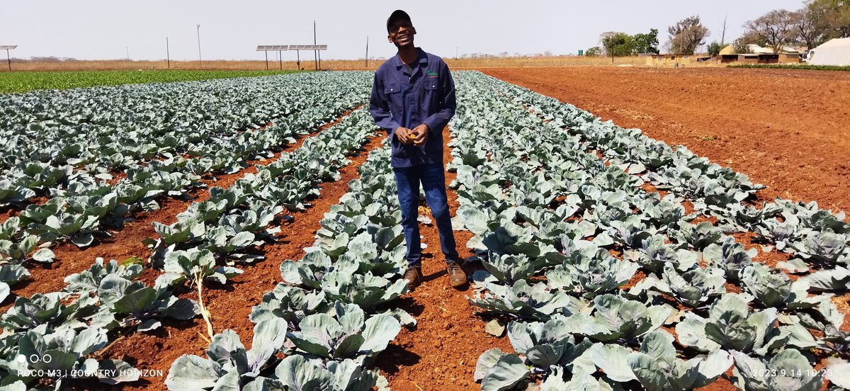 Whether you like it or not, we are in the jungle of life, where the sun of opportunity rises on both the wicked and the upright and we are having to choose between running either for food or from being food.

In the end, a lion and gazelle have the same fate.