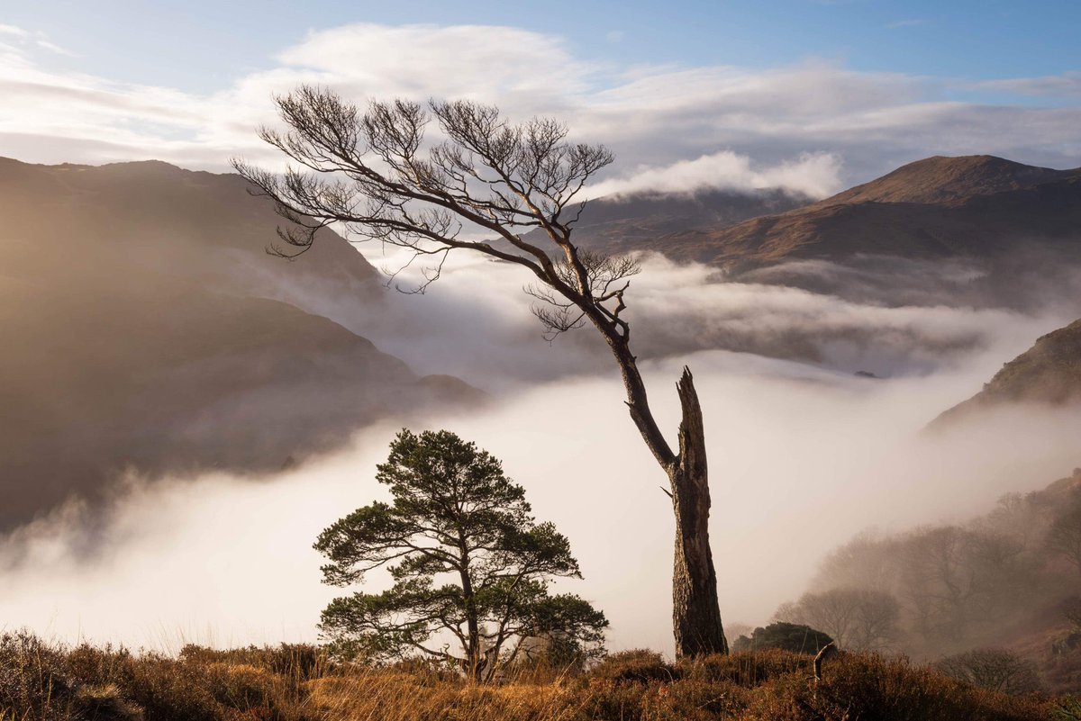 I’m excited to announce that I will be running three workshops in Snowdonia with <a href="/bradcarrphotos/">Brad Carr</a> in 2024.

There’s two one day workshops in April and a 5 day residential creative retreat in November.

Full details can be found below.

Thanks.

marcrobbinsphotography.co.uk/woodland-photo…