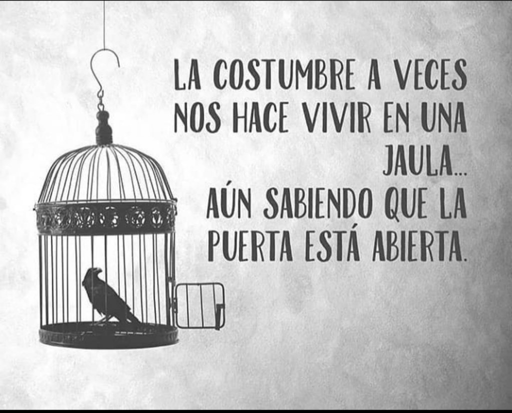 VidaEquilibrad4's tweet photo. Frase vía @psicologia_g https://t.co/icjOjA0zxi