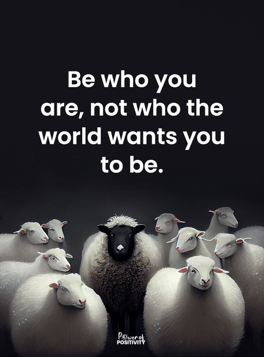 The Mindfulness Meditation Institute (@trainingmindful) on Twitter photo 