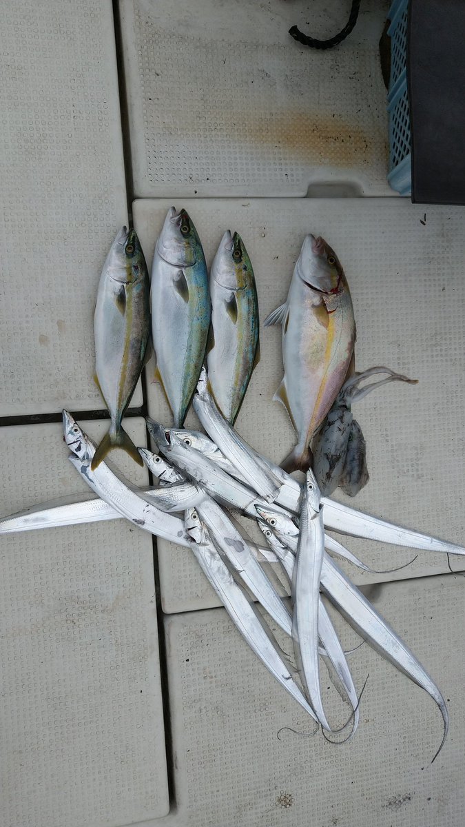 今日は、さっぱりでした(涙)